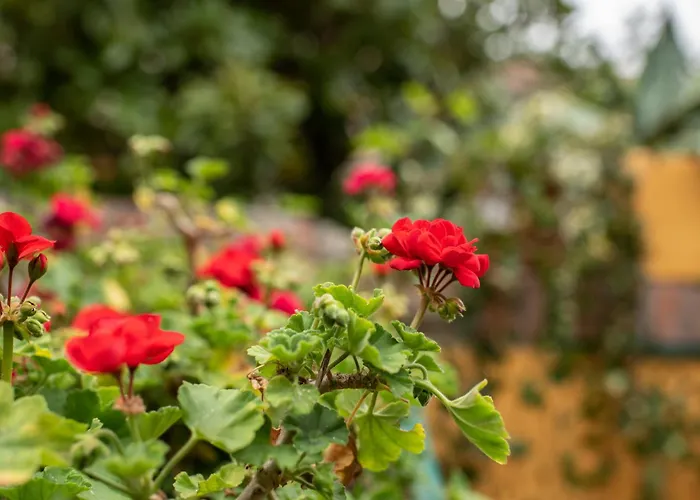 Apartament Romantica Corte Degli Estensi